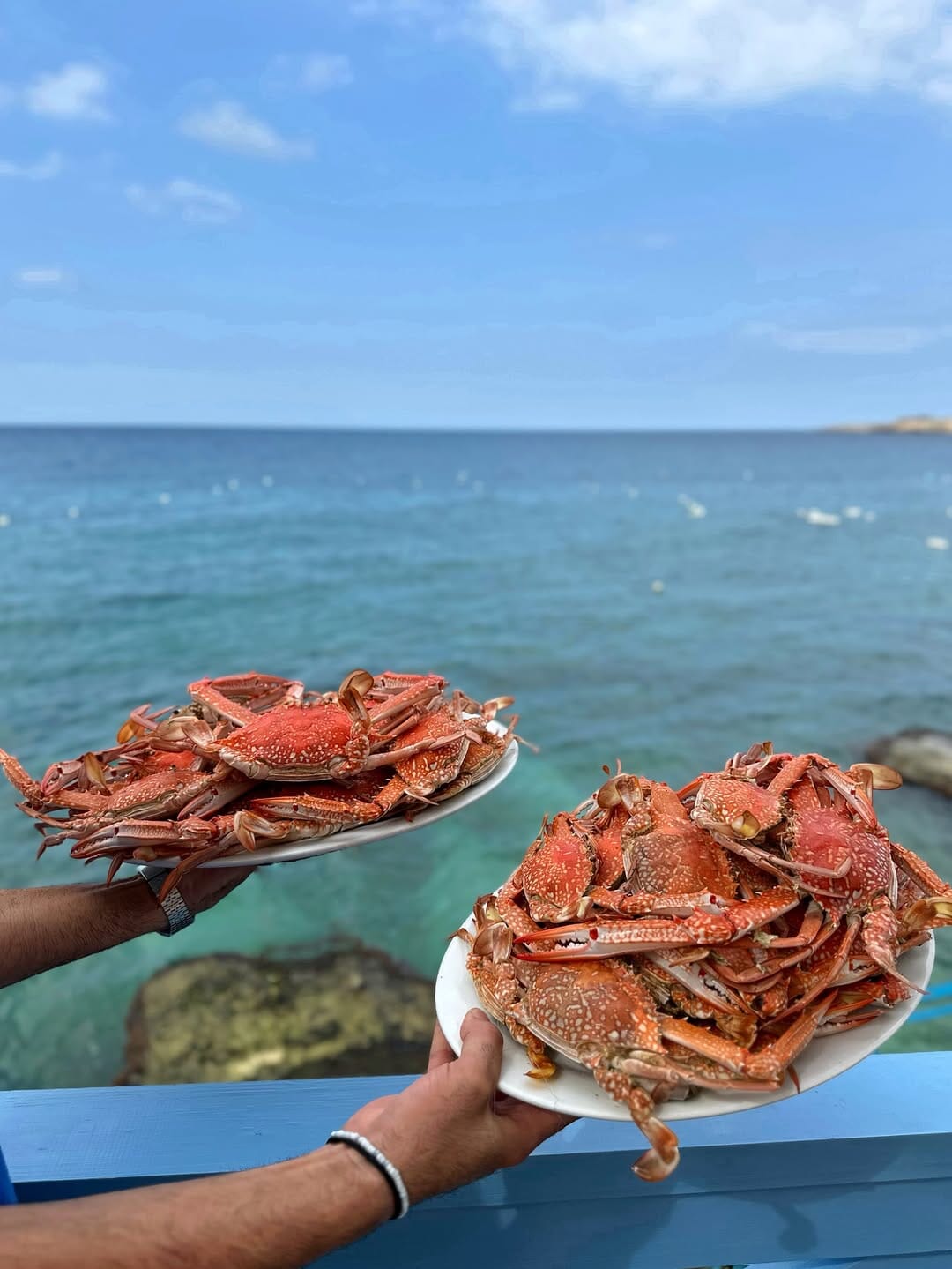 Fresh catch from the Mediterranean